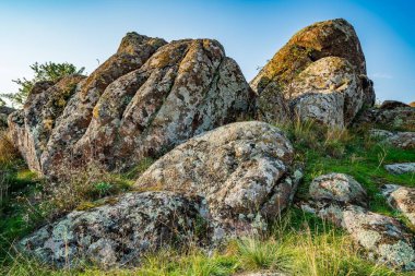 Ukrayna 'nın sıcacık güneşi ve güzel doğası ile dolu bir çayırda bitki örtüsüyle kaplı eski taş minerallerinin devasa birikintileri.