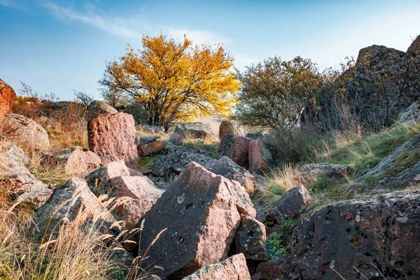 Outono Bela Vegetação Amarelada Pedras Cinzentas Cobertas Com Líquen Multi — Fotografia de Stock