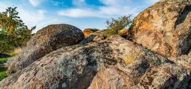 Ukrayna 'nın sıcacık güneşi ve güzel doğası ile dolu bir çayırda bitki örtüsüyle kaplı eski taş minerallerinin devasa birikintileri.