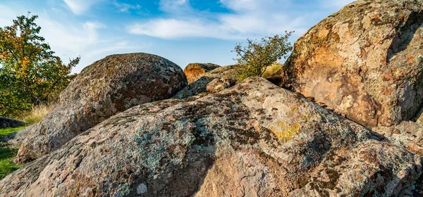 Ukrayna 'nın sıcacık güneşi ve güzel doğası ile dolu bir çayırda bitki örtüsüyle kaplı eski taş minerallerinin devasa birikintileri.