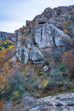 Ukrayna 'nın sıcacık güneşi ve güzel doğası ile dolu bir çayırda bitki örtüsüyle kaplı eski taş minerallerinin devasa birikintileri.