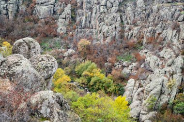 Aktovsky Kanyonu, Ukrayna. Etrafında sonbahar ağaçları ve büyük taş kayalar