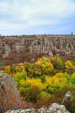 Ukrayna 'nın sıcacık güneşi ve güzel doğası ile dolu bir çayırda bitki örtüsüyle kaplı eski taş minerallerinin devasa birikintileri.
