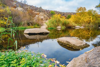Hızlı, sığ ve temiz bir dere, Ukrayna 'da rüzgarda savrulan uzun kuru topaklarla çevrili yumuşak ve büyük taşların arasında akar.
