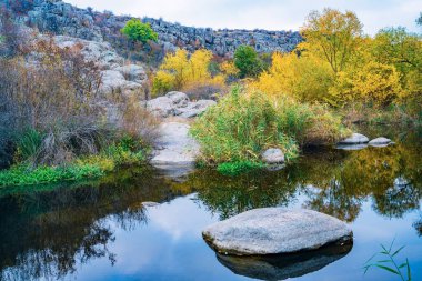 Hızlı, sığ ve temiz bir dere, Ukrayna 'da rüzgarda savrulan uzun kuru topaklarla çevrili yumuşak ve büyük taşların arasında akar.