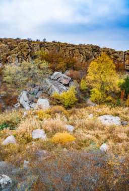 Ukrayna 'nın sıcacık güneşi ve güzel doğası ile dolu bir çayırda bitki örtüsüyle kaplı eski taş minerallerinin devasa birikintileri.