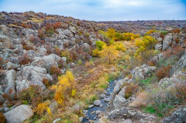 Resimli Ukrayna 'daki küçük bir nehrin üzerinde yeşil bitki örtüsüyle kaplı çok sayıda taş minerali ve onun güzel doğası.