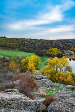 Ukrayna 'nın sıcacık güneşi ve güzel doğası ile dolu bir çayırda bitki örtüsüyle kaplı eski taş minerallerinin devasa birikintileri.