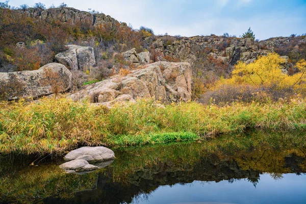 Hızlı Sığ Temiz Bir Dere Ukrayna Rüzgarda Savrulan Uzun Kuru — Stok fotoğraf