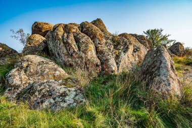 Ukrayna 'nın sıcacık güneşi ve güzel doğası ile dolu bir çayırda bitki örtüsüyle kaplı eski taş minerallerinin devasa birikintileri.
