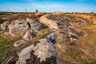 Ukrayna 'nın sıcacık güneşi ve güzel doğası ile dolu bir çayırda bitki örtüsüyle kaplı eski taş minerallerinin devasa birikintileri.