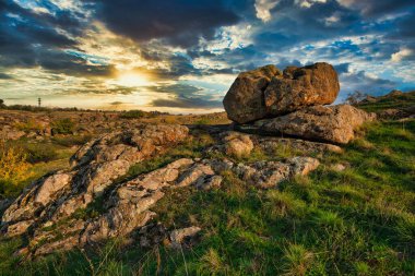 Büyük yeşil-sarı bir tarlada küçük bir taş yığını olağanüstü güzel mavi bir gökyüzünün arka planına karşı.