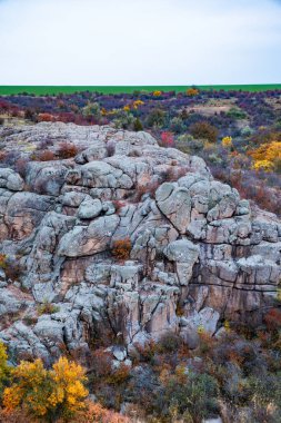 Ukrayna 'nın sıcacık güneşi ve güzel doğası ile dolu bir çayırda bitki örtüsüyle kaplı eski taş minerallerinin devasa birikintileri.