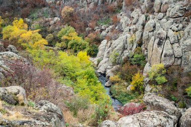 Aktovsky Kanyonu, Ukrayna. Etrafında sonbahar ağaçları ve büyük taş kayalar