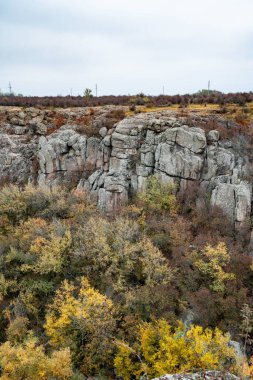 Ukrayna 'nın sıcacık güneşi ve güzel doğası ile dolu bir çayırda bitki örtüsüyle kaplı eski taş minerallerinin devasa birikintileri.