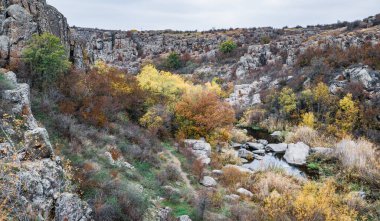 Küçük, küçük, harika bir nehir yeşil çayırların ve gri kayaların ortasında hızla akar. Karpat tepelerinin güzel doğasında.