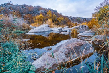Hızlı, sığ ve temiz bir dere, Ukrayna 'da rüzgarda savrulan uzun kuru topaklarla çevrili yumuşak ve büyük taşların arasında akar.