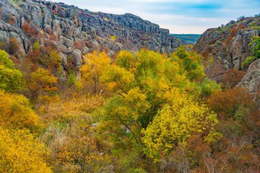 Aktovsky Kanyonu, Ukrayna. Etrafında sonbahar ağaçları ve büyük taş kayalar