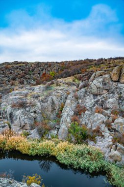 Resimli Ukrayna 'daki küçük bir nehrin üzerinde yeşil bitki örtüsüyle kaplı çok sayıda taş minerali ve onun güzel doğası.
