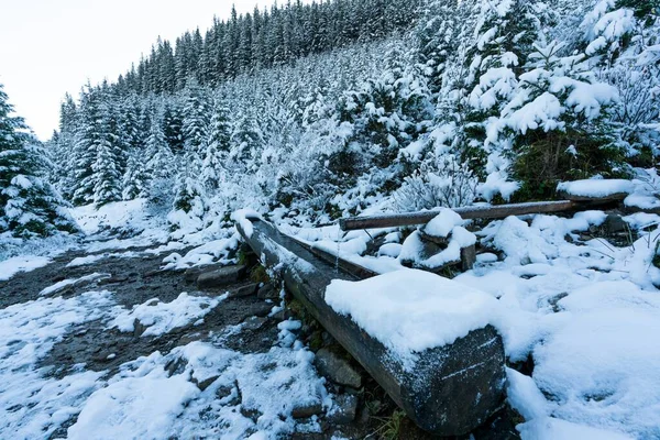 A small fast spring with clean cool transparent water among heavy snow and dark forest in the picturesque Carpathian mountains