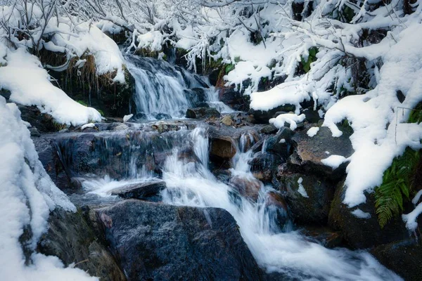 Небольшой Быстрый Поток Среди Мелких Мокрых Камней Холодного Белого Снега — стоковое фото