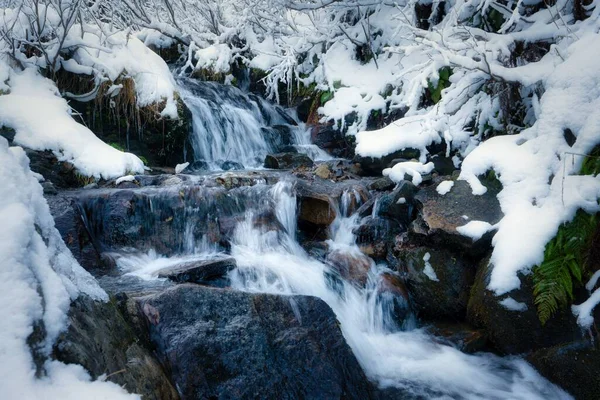 Pequeno Fluxo Rápido Entre Pequenas Pedras Molhadas Neve Branca Fria — Fotografia de Stock