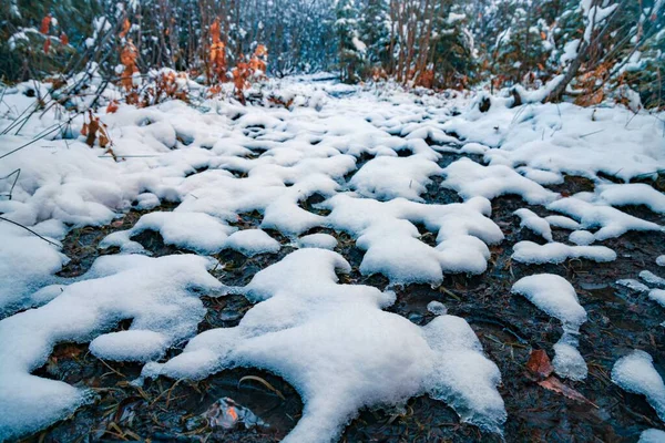 Трохи Сніжно Білого Пухнастого Снігу Прозорих Маленьких Калюжах Сонячному Зимовому — стокове фото