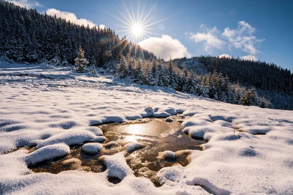 Small puddle of melted white snow in the warm spring sun in the unusual carpathian mountains