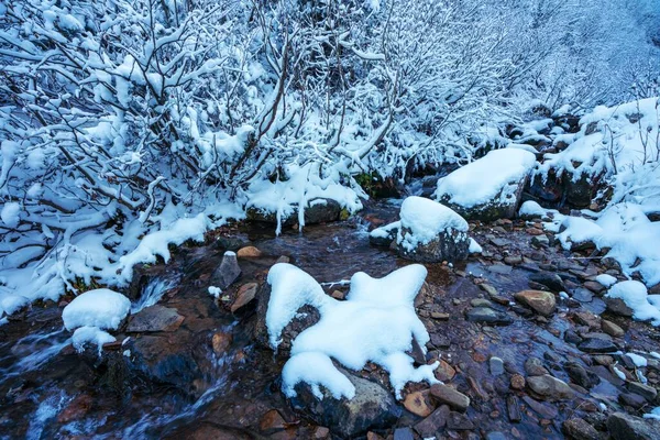 Pequeno Fluxo Rápido Entre Pequenas Pedras Molhadas Neve Branca Fria — Fotografia de Stock