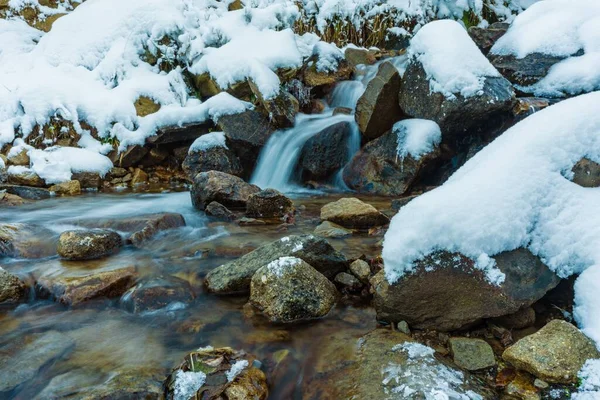 Small Fast Stream Small Wet Stones Cold White Snow Picturesque Stock Picture