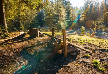 Orman, Karpatların alışılmadık tepelerinde sıcak güneş ışığıyla yıkandı.