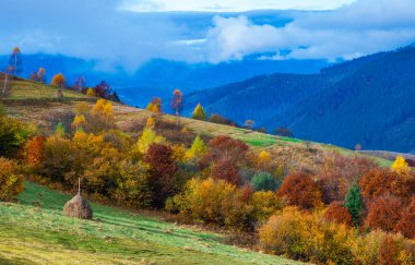 Karpatların ılık yeşil dağlarında yoğun renkli ormanlar kalın gri sisle kaplıdır.