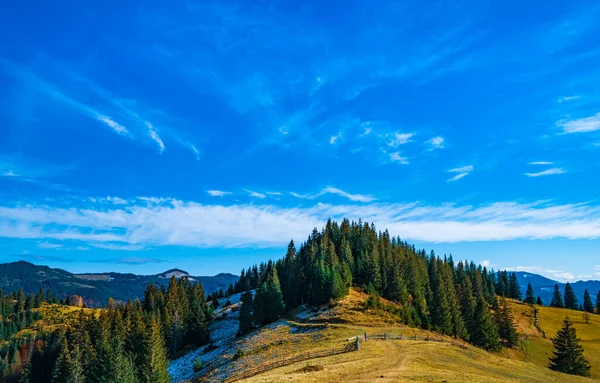 Prachtige Kleurrijke Bossen Karpaten Een Klein Dorpje Tegen Achtergrond Van — Stockfoto