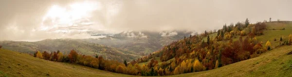 Forêts Denses Colorées Dans Les Montagnes Verdoyantes Chaudes Des Carpates — Photo