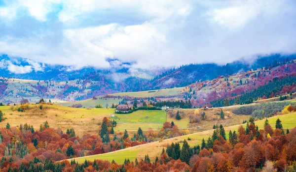 Colorful Dense Forests Warm Green Mountains Carpathians Covered Thick Gray — Stock Photo, Image