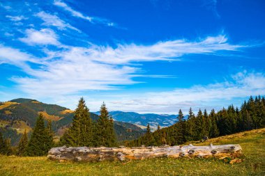 Güneşli bir yaz gününde, tepelerde, odunların yanında uzanan yoğun mistik kozalaklı orman. Orman ve doğal kaynaklar kavramı