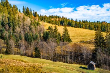 Karpat dağlarını kaplayan güzel renkli ormanlar ve sıcak sonbahar gökyüzünün arka planında küçük bir köy.