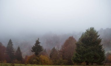 Karpatların ılık yeşil dağlarında yoğun renkli ormanlar kalın gri sisle kaplıdır.