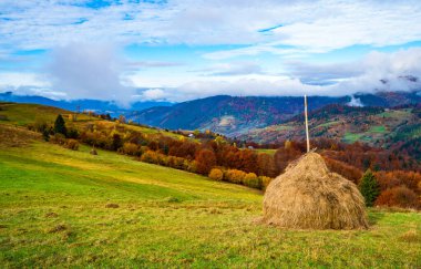 Sisli dağların üzerindeki parlak renkli gökyüzü manzarası. Sisli bir sabah vadisinde otlak tepesinde muhteşem bir gündoğumu. Doğa kavramı.