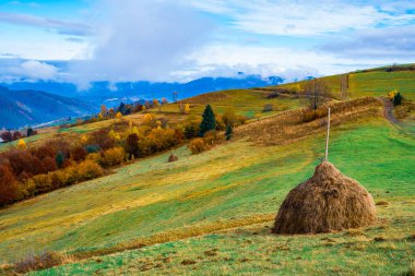 Sisli dağların üzerindeki parlak renkli gökyüzü manzarası. Sisli bir sabah vadisinde otlak tepesinde muhteşem bir gündoğumu. Doğa kavramı.
