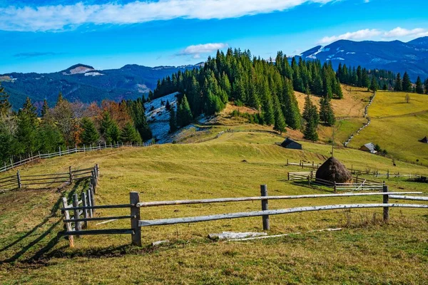 Bruja Hermoso Paisaje Verano Prado Verde Una Colina Con Vistas — Foto de Stock