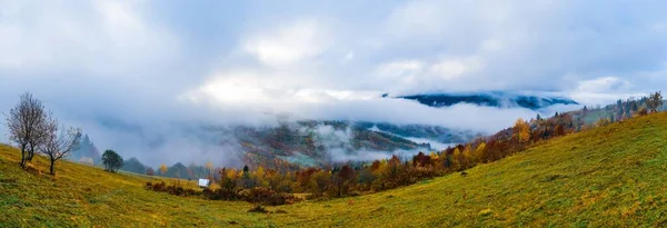 Bosques Densos Colores Las Cálidas Montañas Verdes Los Cárpatos Cubiertos — Foto de Stock