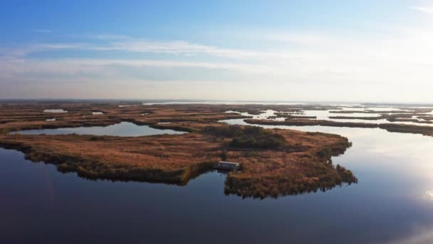 Nieodparte powodzie nad rzeką Samarą na dnieprze w wieczornym świetle — Wideo stockowe