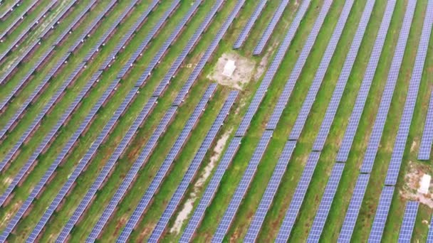Gran planta de energía solar en un pintoresco campo verde en Ucrania — Vídeos de Stock