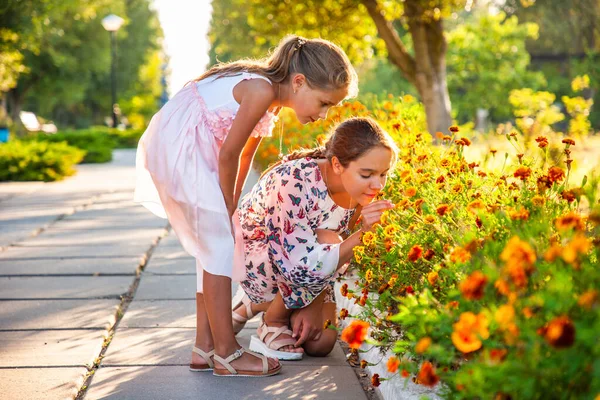 Niedliche entzückende Mädchen in schönen Kleidern schnuppern wunderbare feurige Ringelblumen in einem hellen Sommerpark an einem warmen, sonnigen Tag — Stockfoto