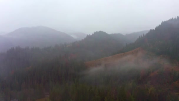 El valle montañoso de los Cárpatos está cubierto de niebla y lluvia en Ucrania cerca del pueblo de Dzembronya — Vídeos de Stock