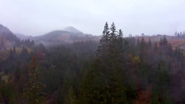 Clima lluvioso brumoso en el valle de los Cárpatos en la hermosa Ucrania en el pueblo de Dzembronya — Vídeos de Stock