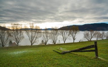 Islak havada, yoğun gri sisin ortasında, yeşil bir tarlada büyük ıslak bir yığın duruyor.