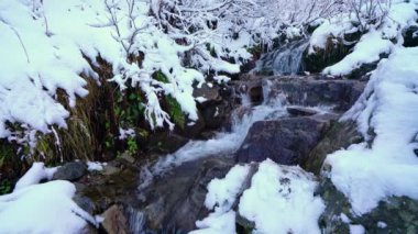 Güzel Ukrayna 'daki Karpat Dağları' ndaki küçük ıslak taşlar ve soğuk beyaz karlar arasında küçük, hızlı bir dere. UHD 4K gerçek zamanlı video