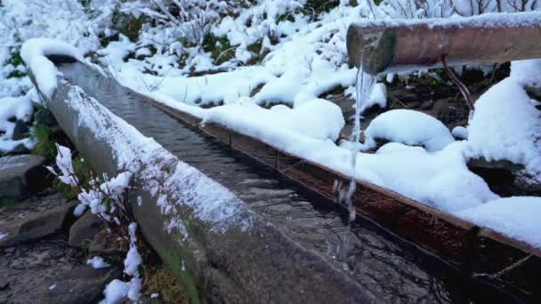 Pequeño Arroyo Rápido Entre Pequeñas Piedras Mojadas Nieve Blanca Fría — Vídeos de Stock
